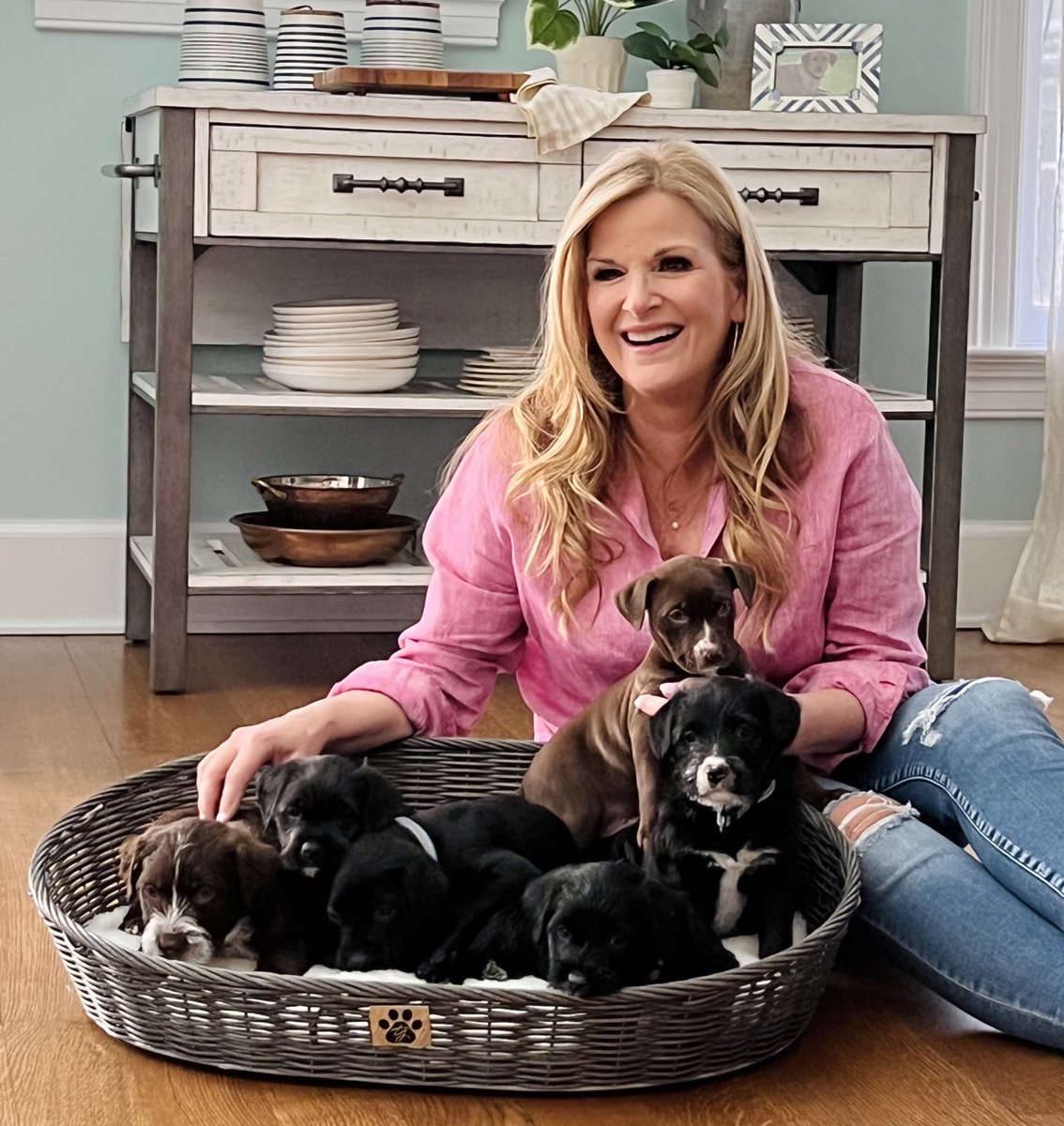 trishayearwood's tweet photo. Thank you Wags and Walks Nashville, it was the BEST DAY!! Everything is better with puppies! These adorable boys and girls from the “Vintage” litter are adoptable! For more info about all rescues and foster opportunities visit: https://t.co/FVQmzPpZKm! 🐾 https://t.co/FCxft2wTil