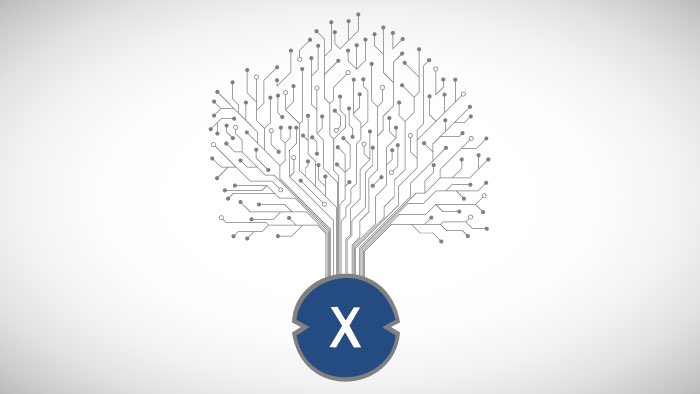 DefiNFTDomains's tweet photo. #XDCNetwork unifies siloed networks into one metaphorical tree with many branches. This tree finds its roots through the #DASL to #XDC bridge - which works to support the #Corda ecosystem 👊 #DLT #Defi #tokenize #ISO20022 #Institution #NFTs #AI #Interoperability #cybersafety #4IR https://t.co/Hu7mrzQXzD