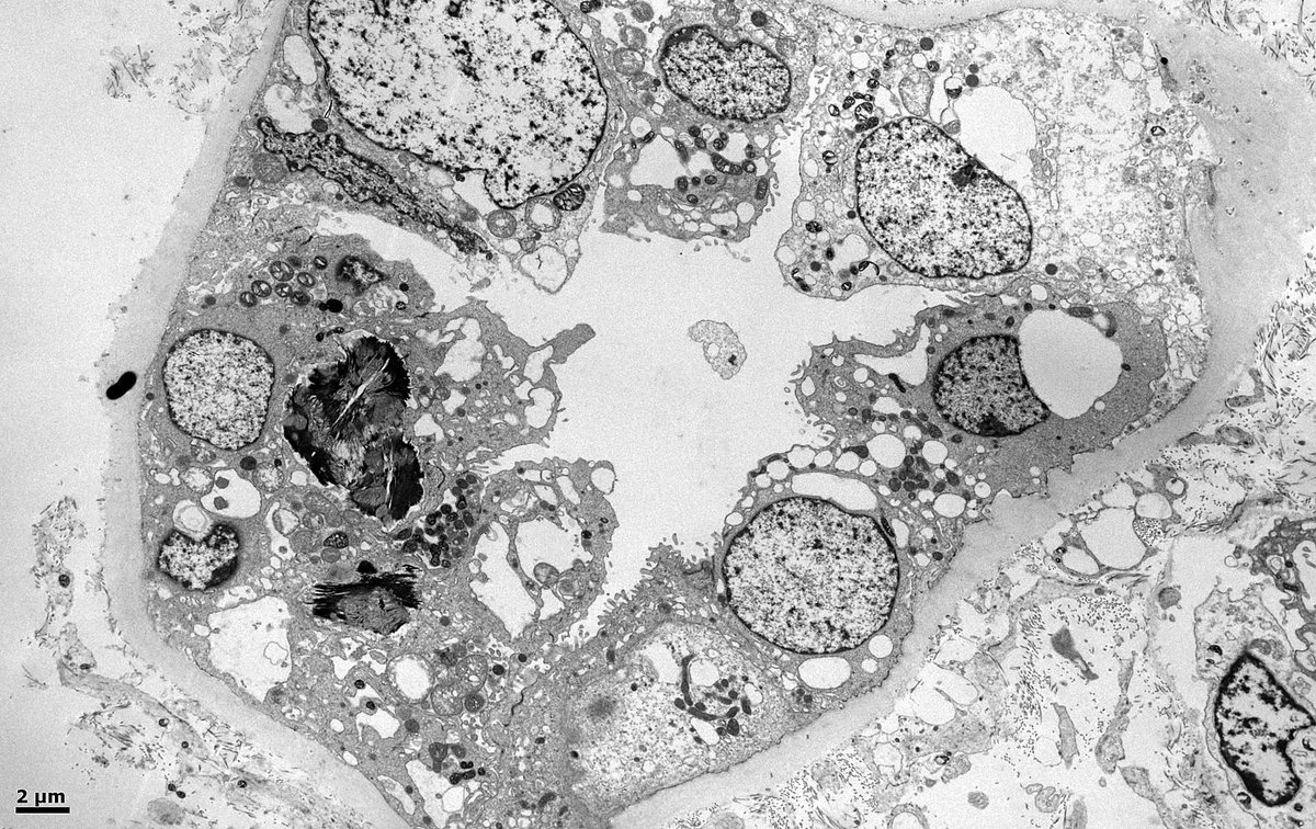 John Brealey tweet media