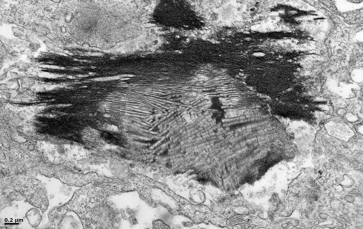 John Brealey tweet media