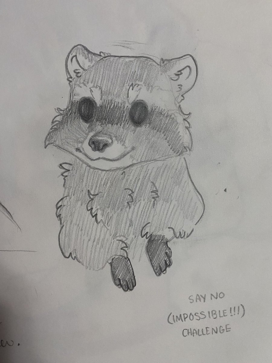 ellsnyx's tweet photo. raccoons in my sketchbook https://t.co/6oGuSo30eb
