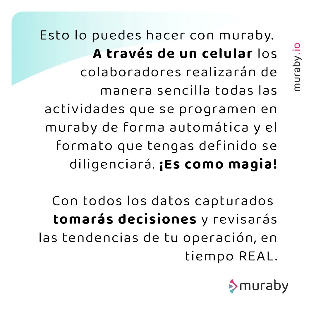 muraby_io's tweet photo. https://t.co/lr621UqaeK