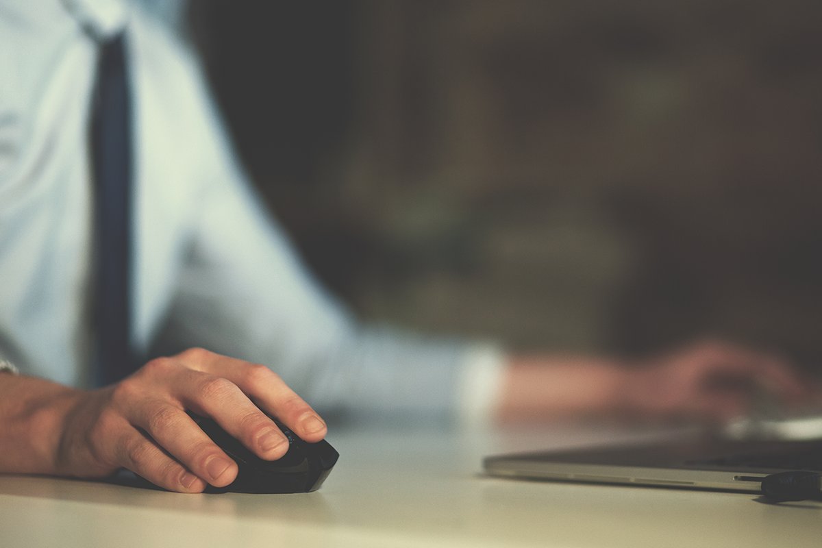 Network EGYPT tweet media