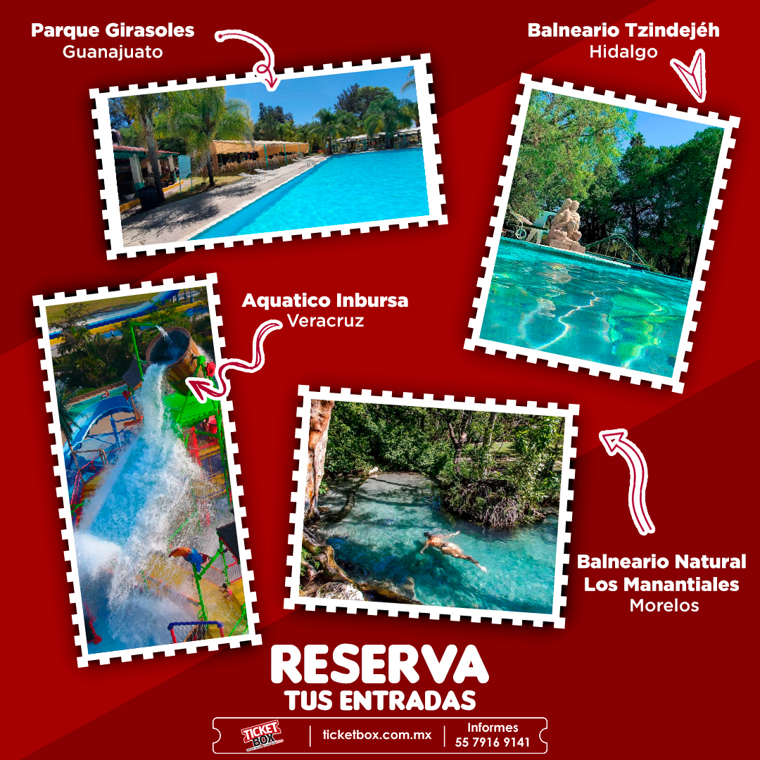 ticketboxmex's tweet photo. ¡Planea tus vacaciones de semana santa! Las mejores atracciones están en: https://t.co/5DEzvqthsO 🙌🏼

#Atracciones #Viajar #FindeSemana #Hidalgo #Morelos #Veracruz #Guanajuato #Balneario #ParqueAcuatico #LosManantiales #HotelBalnearioTzindejeh #AquaticoInbursa #ParqueGirasoles https://t.co/df58lPc6SJ