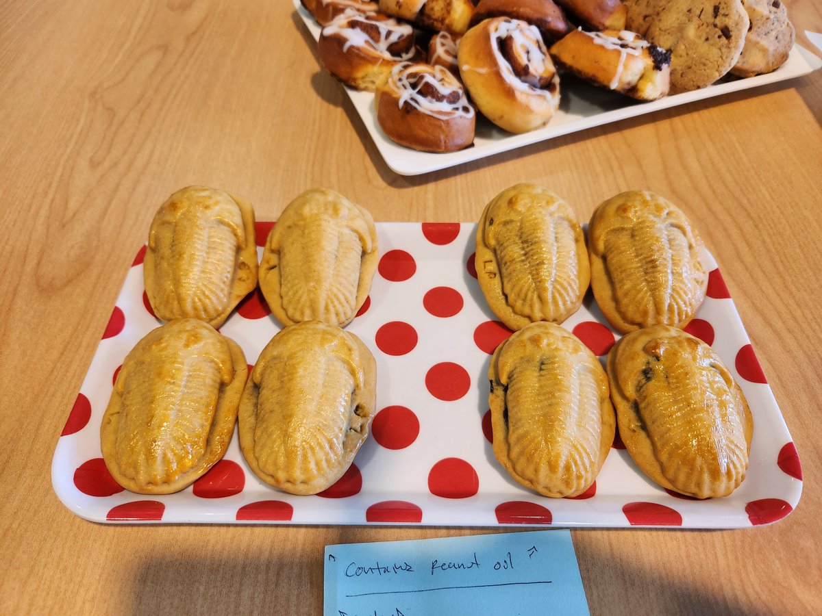 pollenkat's tweet image. Some of the creations at our @GeoscienceNZ Geobake morning tea at @MasseyUni today for James Hector's birthday. We have trilobite moon cakes, a mineral breccia fudge,  and a lake sediment core, complete with tephra!