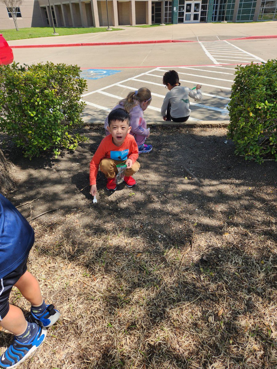 Our kindergartners did a great job being geologist today as they used their science tools and observation skills to collect soil and rock samples.