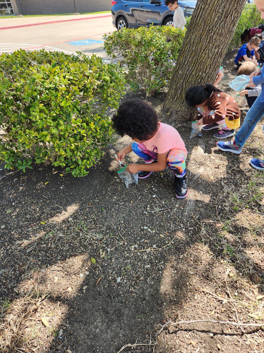 Harrington_El's tweet photo. Our kindergartners did a great job being geologist today as they used their science tools and observation skills to collect soil and rock samples. https://t.co/gXmuI9tTI5