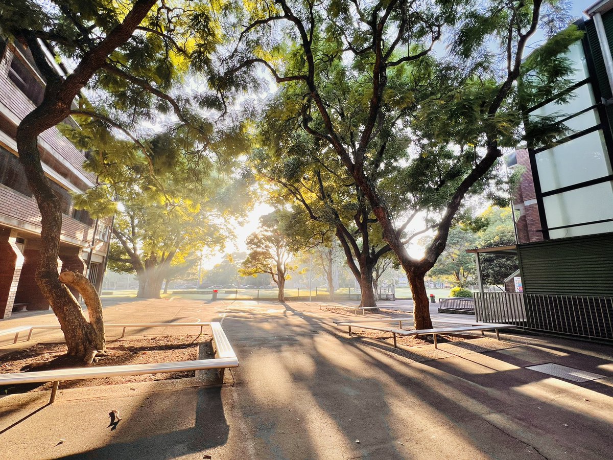 Good morning <a href="/HarcourtPS/">Harcourt PS</a> #LoveWhereYouLearn