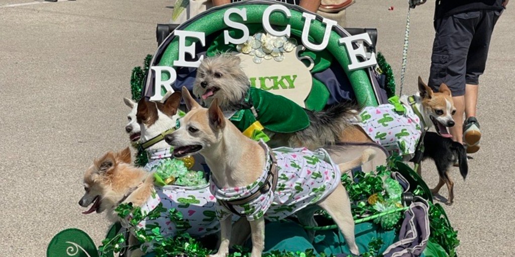 FirstmarkCU's tweet photo. We volunteered at the 16th Annual Fest of Tails this past weekend, where we helped give out trees and tips to help them thrive! Did anyone make it out and see the Firstmark team in action? ๐ณ ๐ #FestofTails #InTheCommunity #FirstmarkCares #FirstmarkCU https://t.co/s8oZfufHiO