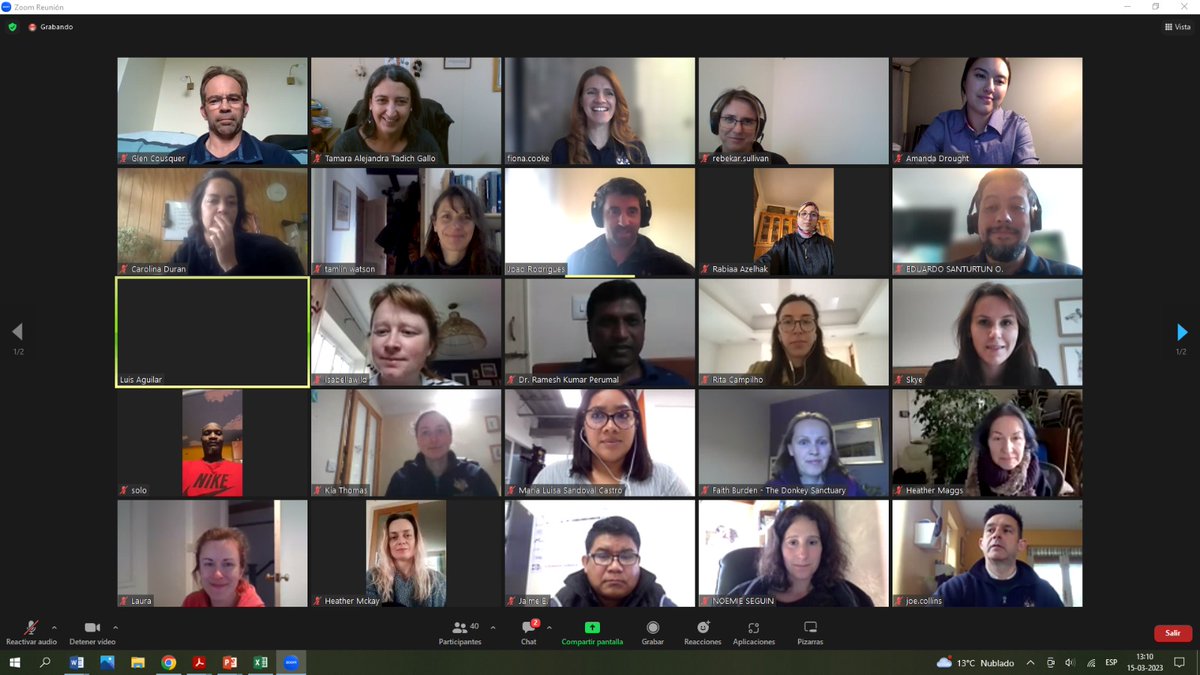 tamara_tadich's tweet photo. We had a brilliant webinar organized by @DonkeySanctuary where the articles form the #AJVS special issue on #WorkingEquids #health and #welfare were presented. Thanks to all the attendees 💚🐴 https://t.co/ti60wBqVho