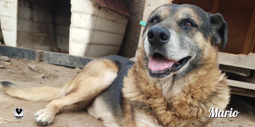 ¿Alguna vez pensaste en que los viejitos se mueren esperando por el amor de una familia? 💔

Todos merecen una oportunidad, por eso Mario sigue esperando su final feliz 🫶🏽.

📲 Si te interesa saber sobre él comunicate por privado.