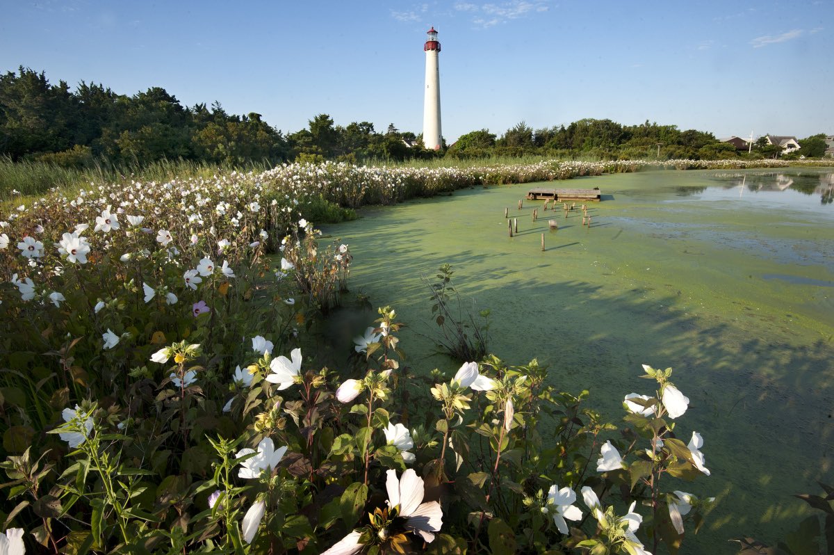 Here’s a shocking stat - New Jersey has the highest percentage of land dedicated to parks and wildlife of any state in the continental U.S.