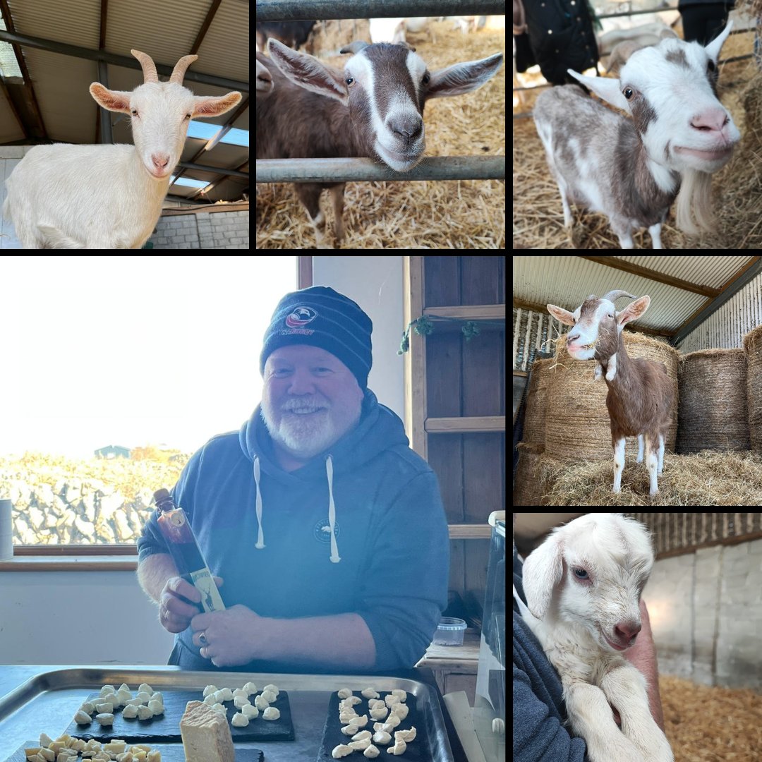 <a href="/AranGoatCheese/">Gabriel Faherty</a>'s Heaven🐐🧀 

Thank you Gabriel for an unforgettable #food production tour &amp; for introducing the <a href="/atu_ie/">Atlantic Technological University</a> team to the kids &amp; goats, their award-winning #cheeses🧀🐐
#Daywellspent #GoatFarm #Sustainablefarming #AranIslands
