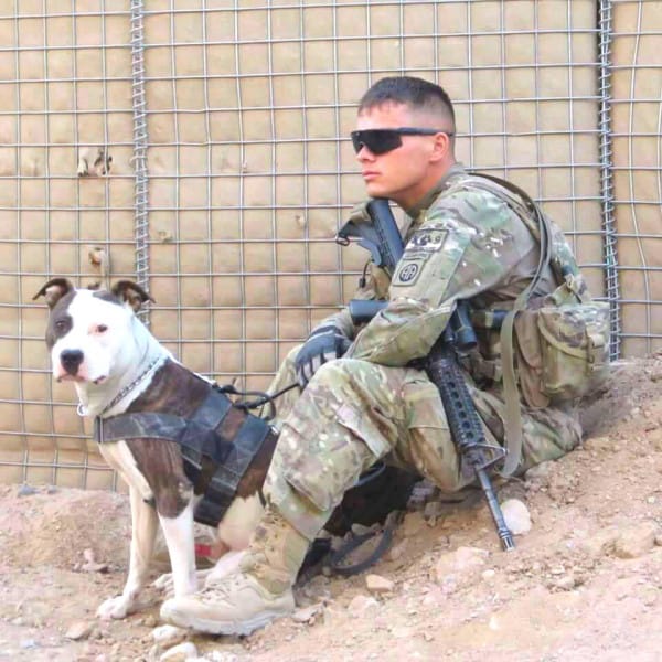 I always like to remind people just how valuable pit bulls are. They have served our military since WWI. They make great emotional support, therapy, &amp; service dogs. Dog breeds have never been the problem. The problem has always been bad owners &amp; that is true of any breed. #endBSL