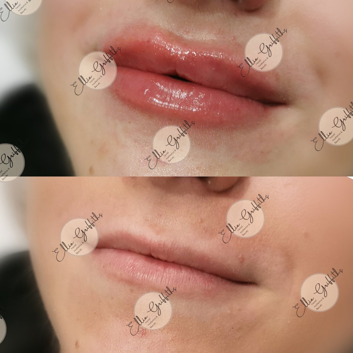 Ellie Griffiths tweet media