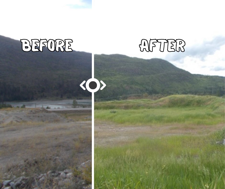 ISCBC's tweet photo. Did you know that disturbed soil in gravel pits can create the perfect conditions for invasive plants to thrive? Discover the importance of preventing these 'gremlins in the gravel pit' in our latest article: https://t.co/o9Co3GDiQq
#BCinvasives #invasiveplants #biodiversity https://t.co/djyFEzV5sl