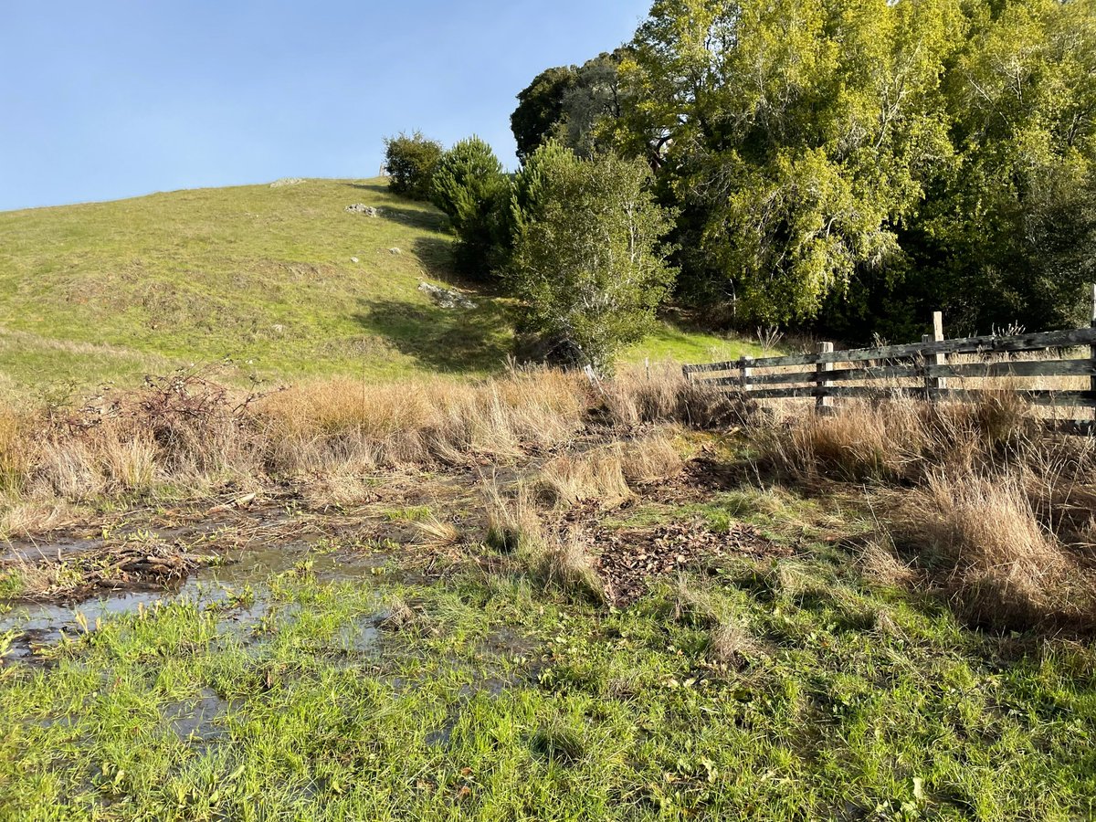 Point Reyes National Seashore Association tweet media