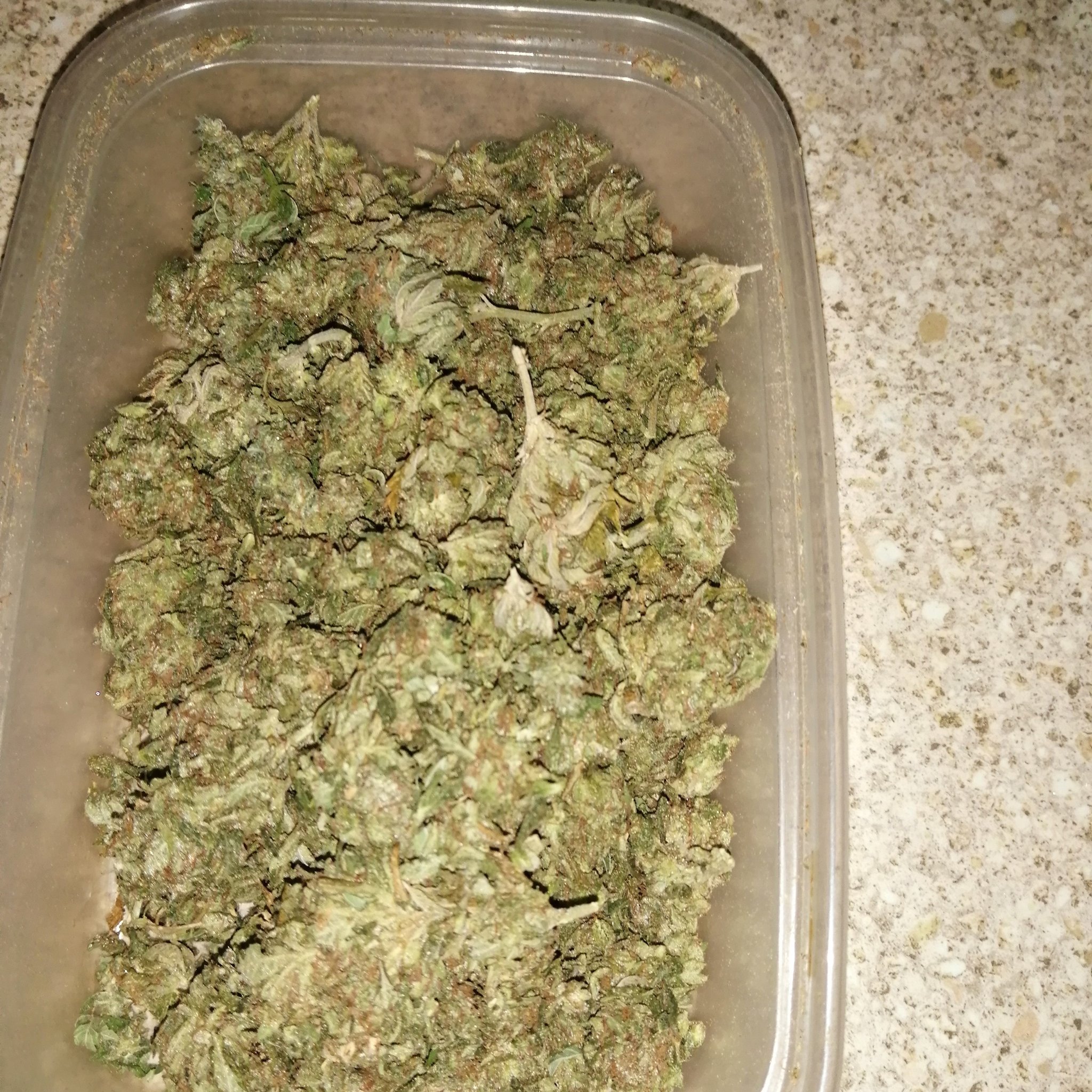 jonjoeboyo (@Winnieboy25)  X