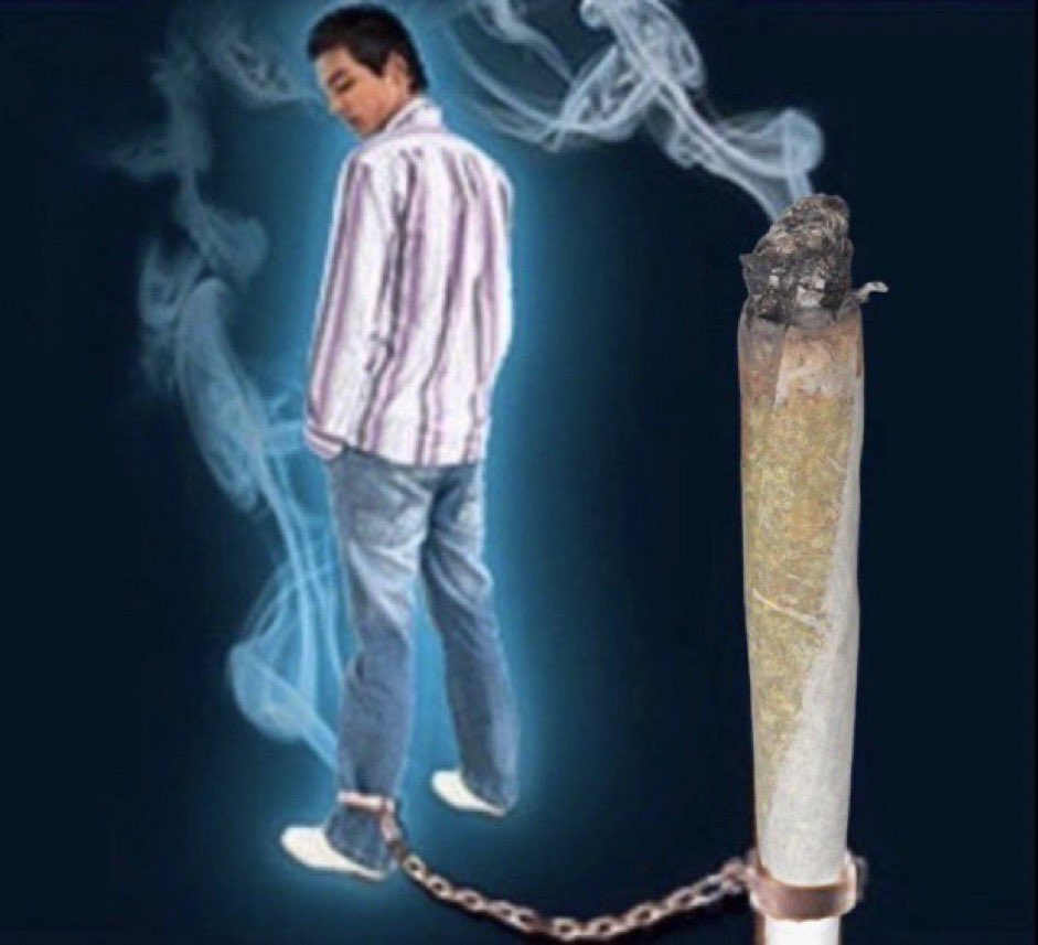 they hate to see a pretty girl take a tolerance break