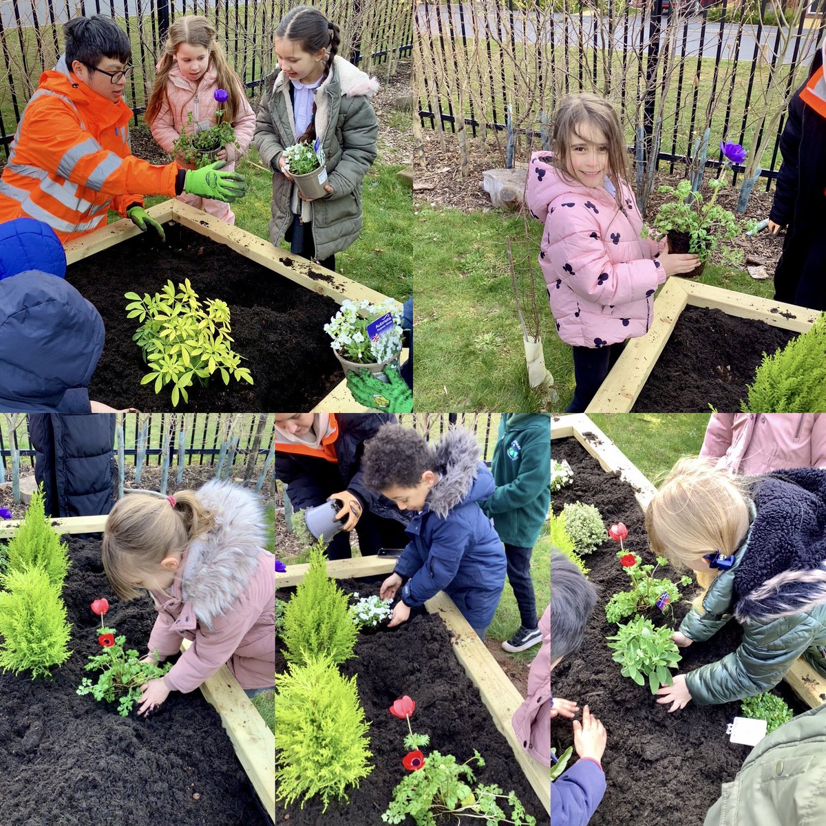 Streethay Primary School tweet media