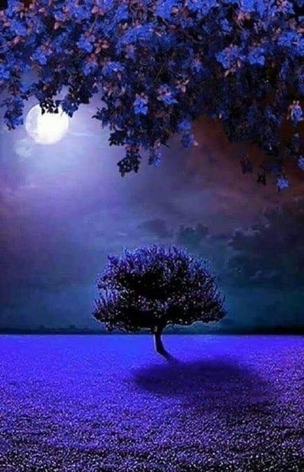 Julia_crypt1's tweet photo. GN friends🥰😴 https://t.co/ljxAaI8GVh