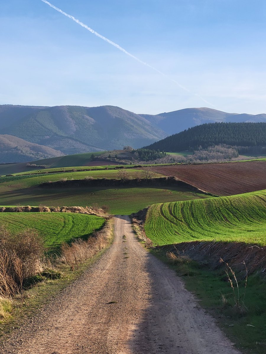 amantes_cycling's tweet photo. Otra tarde mas haciendo una Strade Bianche por la Rioja, que potencial tiene la zona y cuanto vendería al extranjero una carrera peofesional + cicloturista por aquí, pero esto es  soñar.... https://t.co/MytwZSM7M4