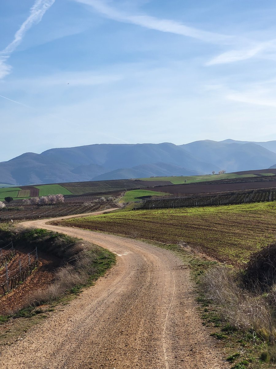 Otra tarde mas haciendo una Strade Bianche por la Rioja, que potencial tiene la zona y cuanto vendería al extranjero una carrera peofesional + cicloturista por aquí, pero esto es  soñar....