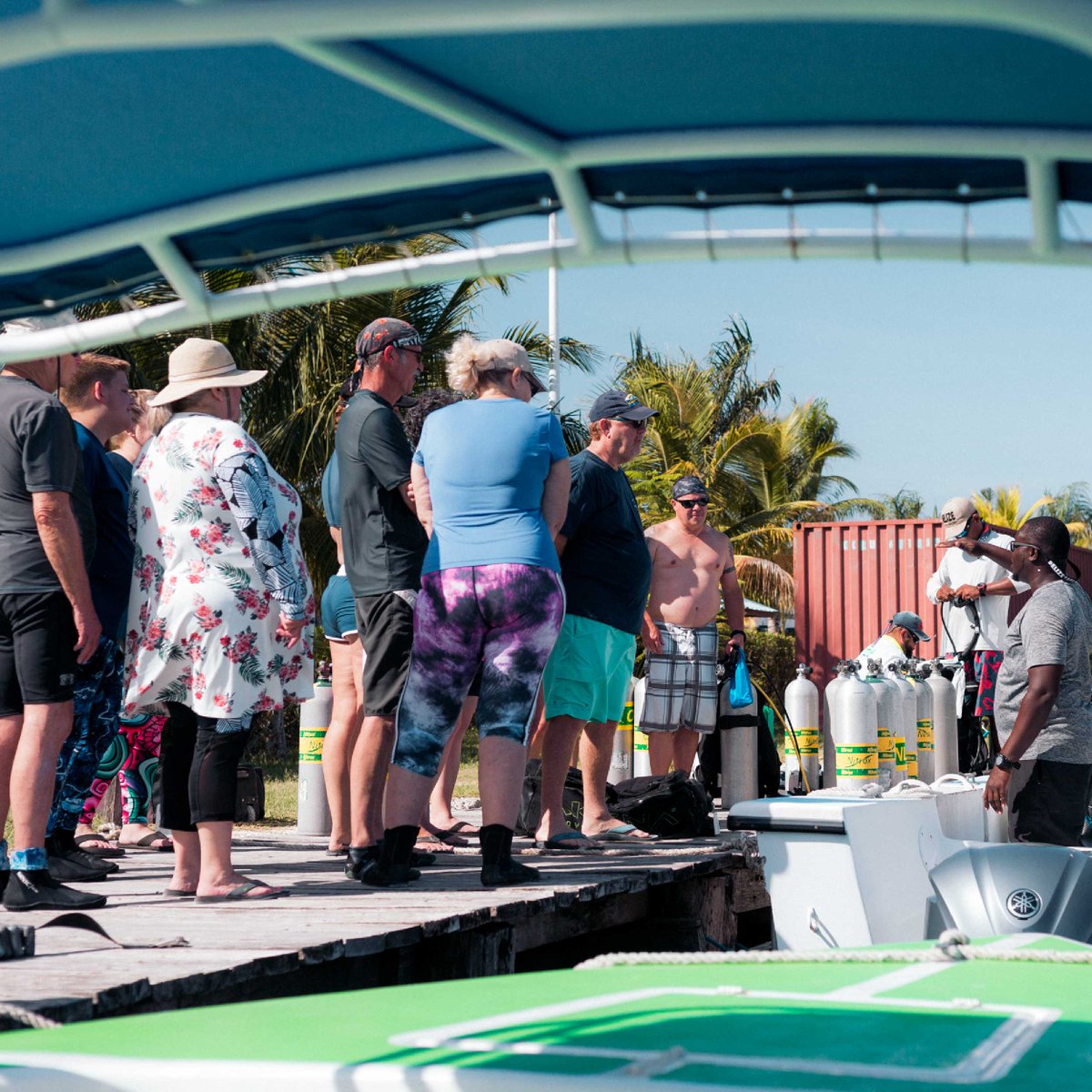 Belize Dive Haven tweet media