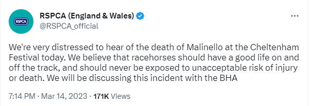porkys22's tweet photo. @olibellracing @itvracing What does Ruby #AskRuby make of @RSPCA_official change of stance. From working with horse racing for better welfare, to animal rights view that it's "unacceptable risk"? This new stance is set to target all sports involving animals. #AnimalRightsActivists https://t.co/NCZEeX0m1i https://t.co/f8hyGTDyh3