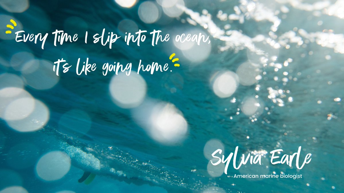 TheWave's tweet image. "Every time I slip into the ocean, it’s like going home." 
Love this quote by @SylviaEarle (American marine biologist, oceanographer, explorer, author, and lecturer.) 
Where you do you go to get back to you?
#BlueHealth #TheWaveBristol #Wavepool #WaterAndWaves #PrepareToSmile