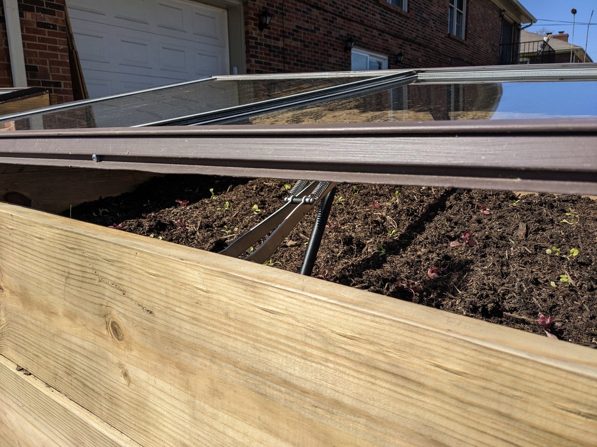 Solarpunk Surf Club 🌻🏄 tweet media