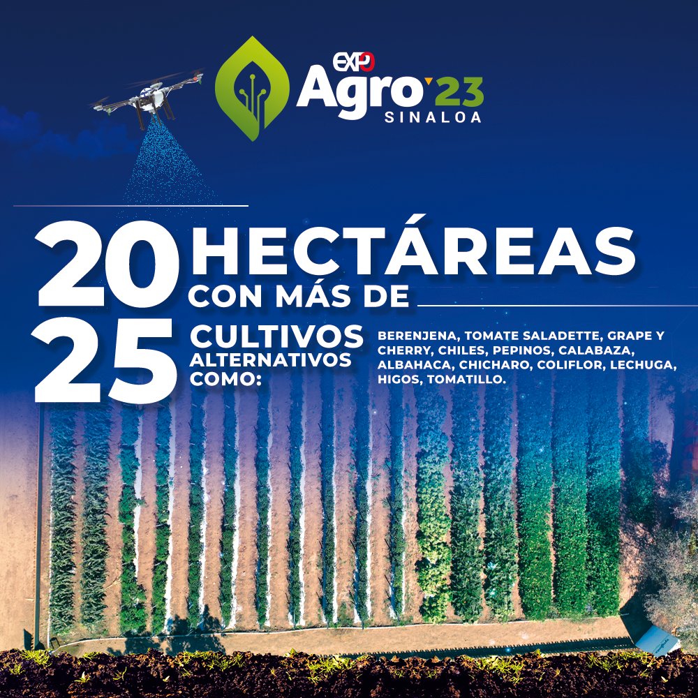El Centro de Innovación de Fundación Produce Sinaloa es la sede de Expo Agro Sinaloa, un espacio idóneo en las más de 20 hectáreas disponibles para el desarrollo de una gran variedad de cultivos en hortalizas, granos y cultivos alternativos.

#ExpoAgroSinaloa