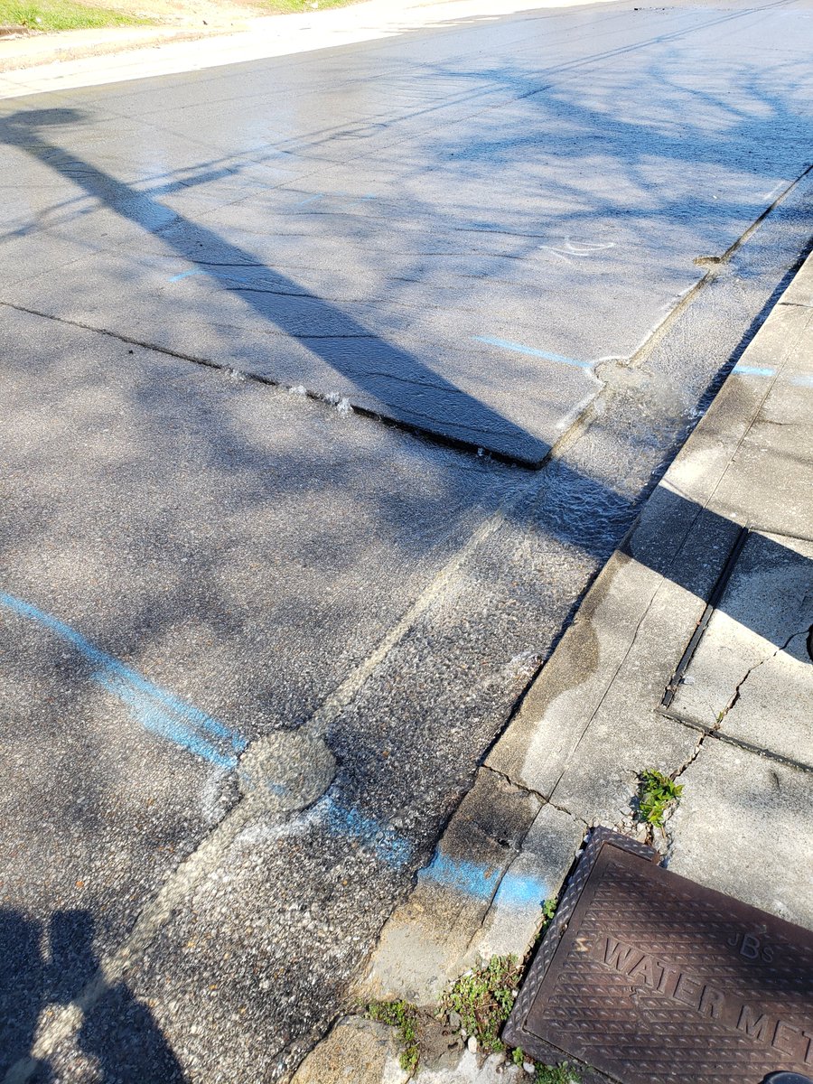 RachelTernes's tweet photo. @NashvilleMWS why is there water gushing out of two cracks in Hermosa St? (There's a utility vehicle nearby, so I assume it's already being addressed-- this is just for my own neighborly curiosity.) https://t.co/taumGA4uop