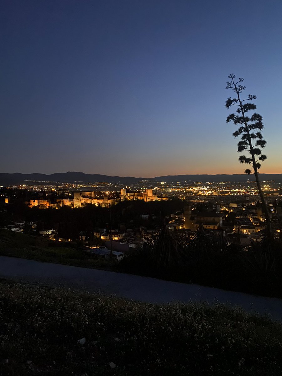 Paula Hernández (@paulaahernandzz) on Twitter photo 