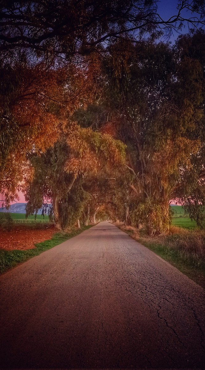 minna101's tweet photo. Si vivo en Narnia se dice y no pasa nada.... https://t.co/CyxatCPsBH