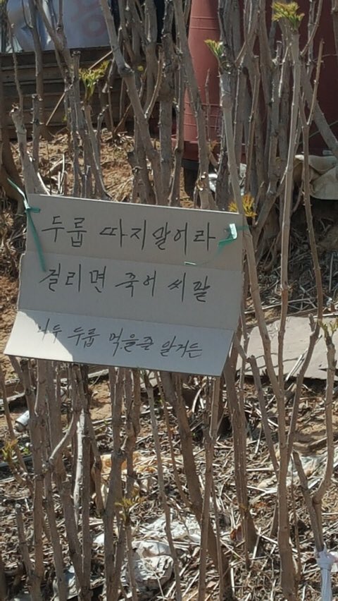 미친 이거 넘 맘에 들어 ㅋㅋㅋㅋㅋㅋㅋㅋㅋㅋㅋㅋㅋㅋㅋㅋㅋㅋㅋ