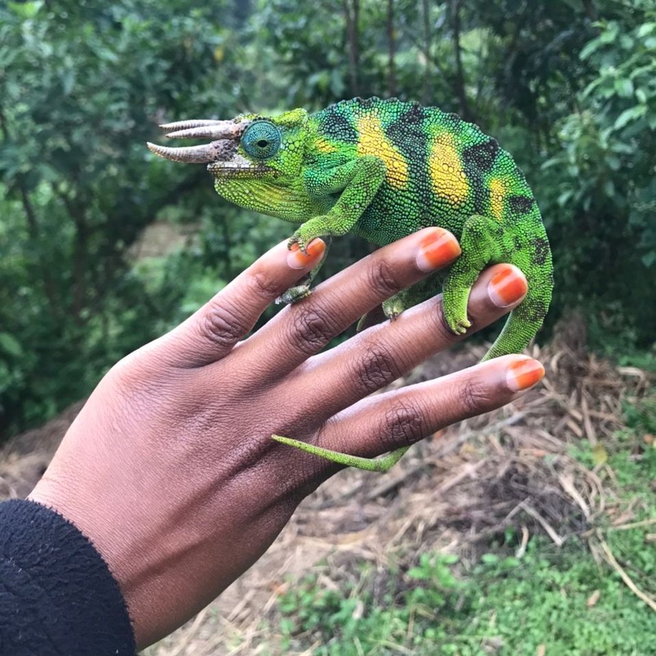 Travel with Jazel tweet media