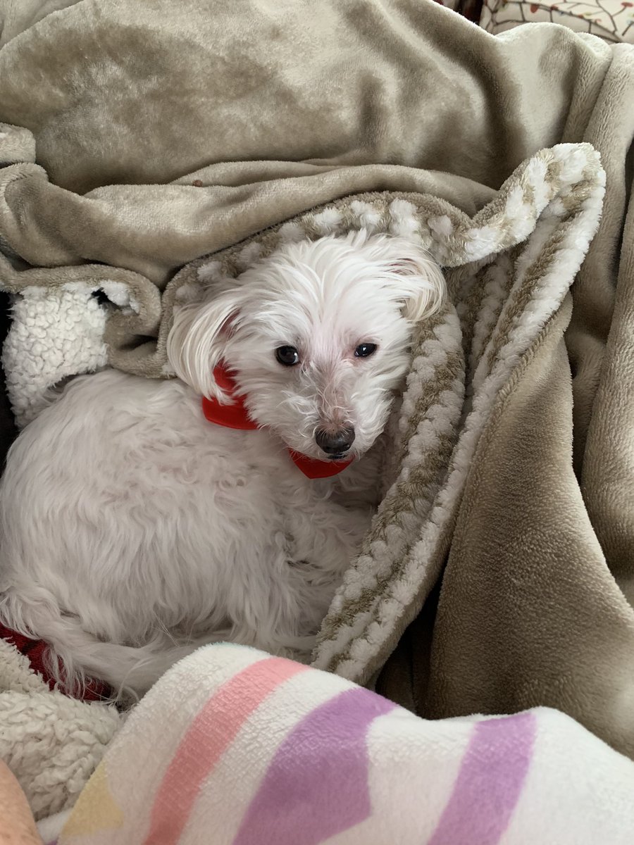 Kay Campbell tweet media