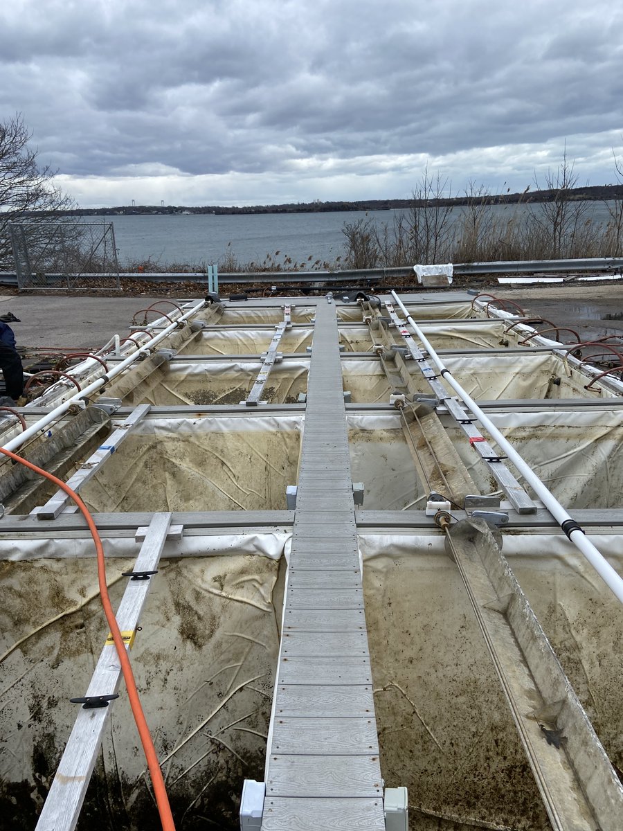 A pretty satisfying before and after deep cleaning the #mesocosm facilities at <a href="/URIGSO/">URI Graduate School of Oceanography</a>  - almost experiment ready!