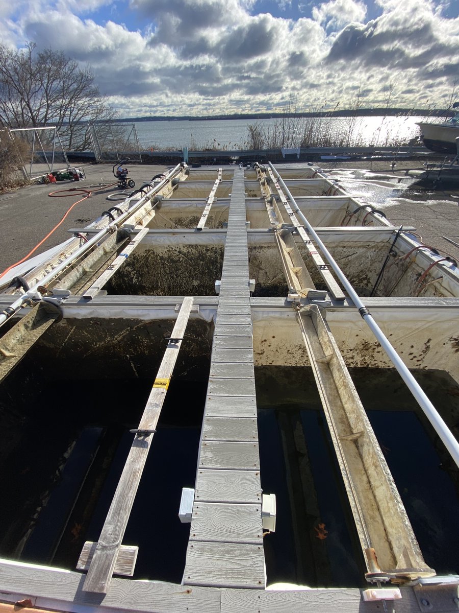 Sarah Davis, PhD tweet media