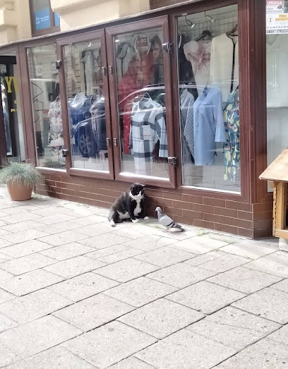 TheHutchPlay's tweet photo. #Gacek the cat now has many visitors.
You can see why...
Kaszubska 16, 71-899 Szczecin, Poland https://t.co/Bx2ByODmES