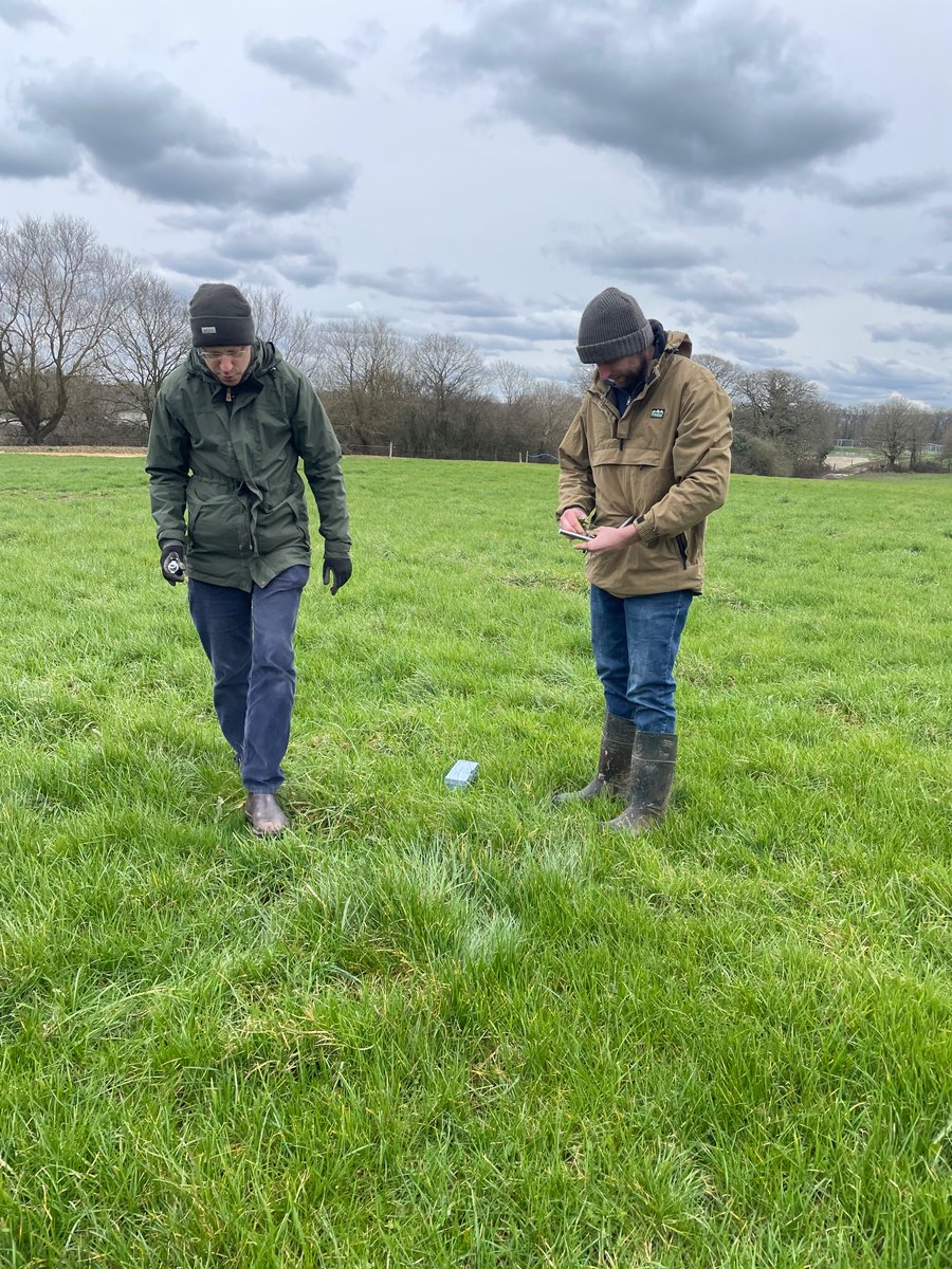 Bore Place tweet media