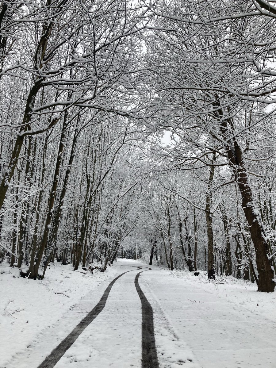 I was on an acting job last week and this was the location… unreal ❄️