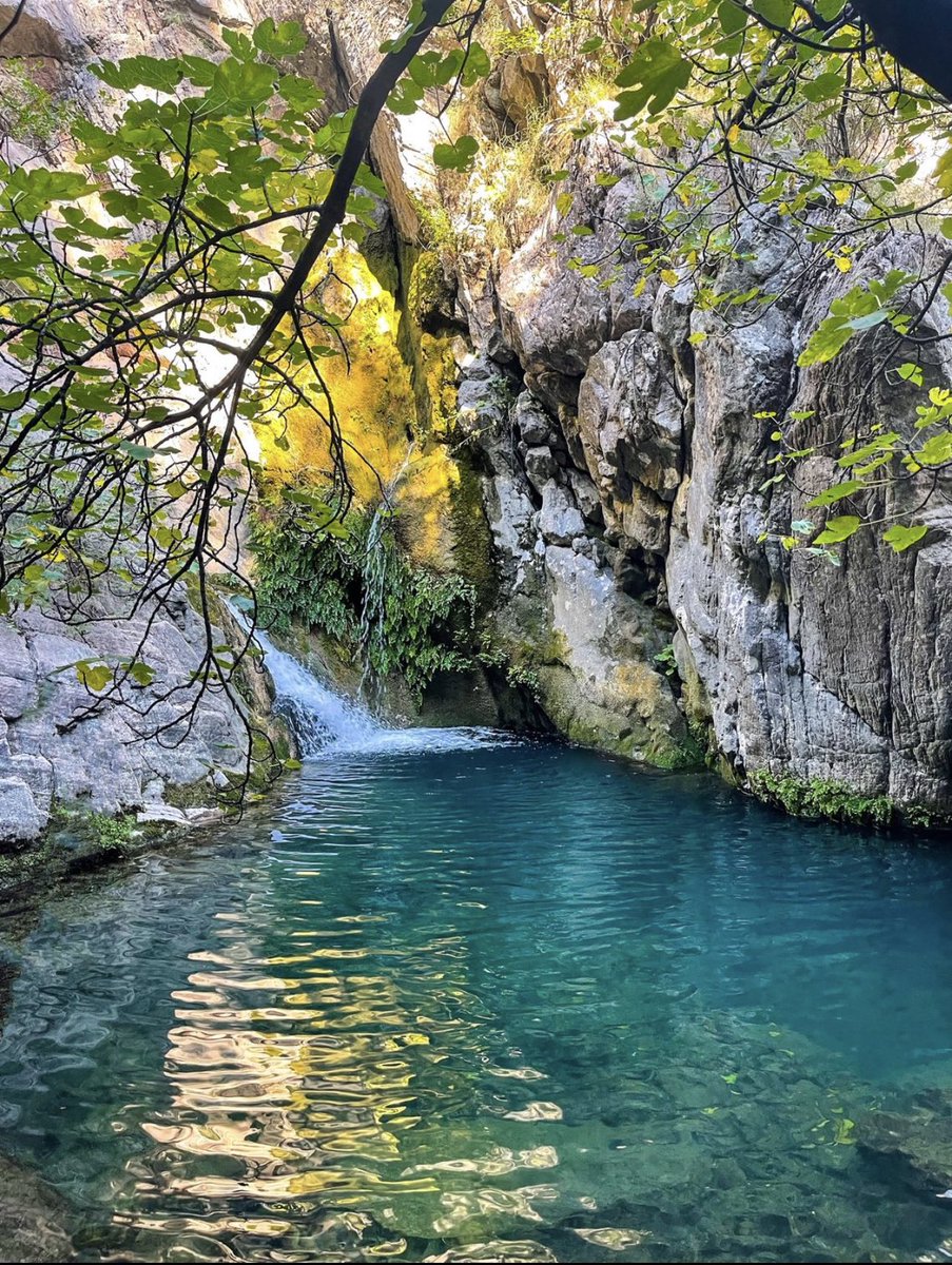 Peace 💆🏼‍♀️

#photographer #photo #Travel #nature #naturelover #wildlifephotography #Wildbeauty #NatureBeauty #travel #