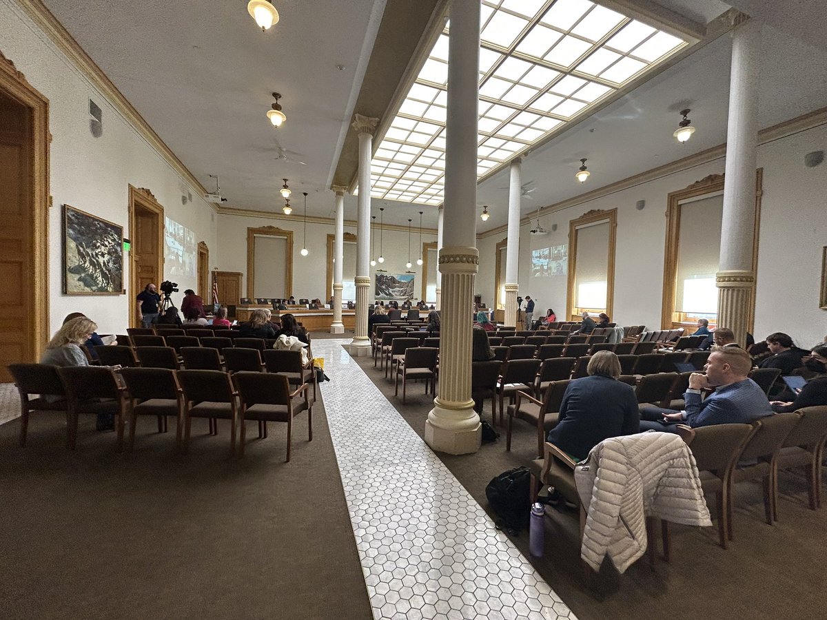 Meghan Lopez tweet media