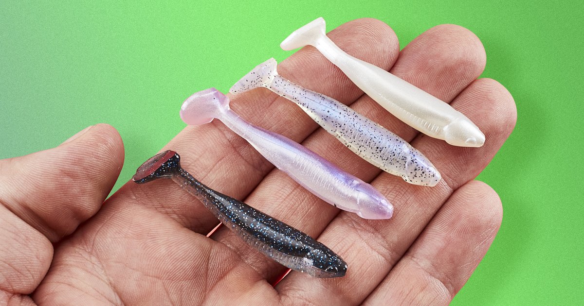 TackleWarehouse's tweet image. Shop Now👉bit.ly/3l97og6

Delivering unbelievable swimming action in a bite-sized profile, the Bass Assassin Crappie Dapper Swimbaits produce life-like movement in the water with a thumping paddle tail that energetically kicks water!

#TackleWarehouse | #BassAssassin