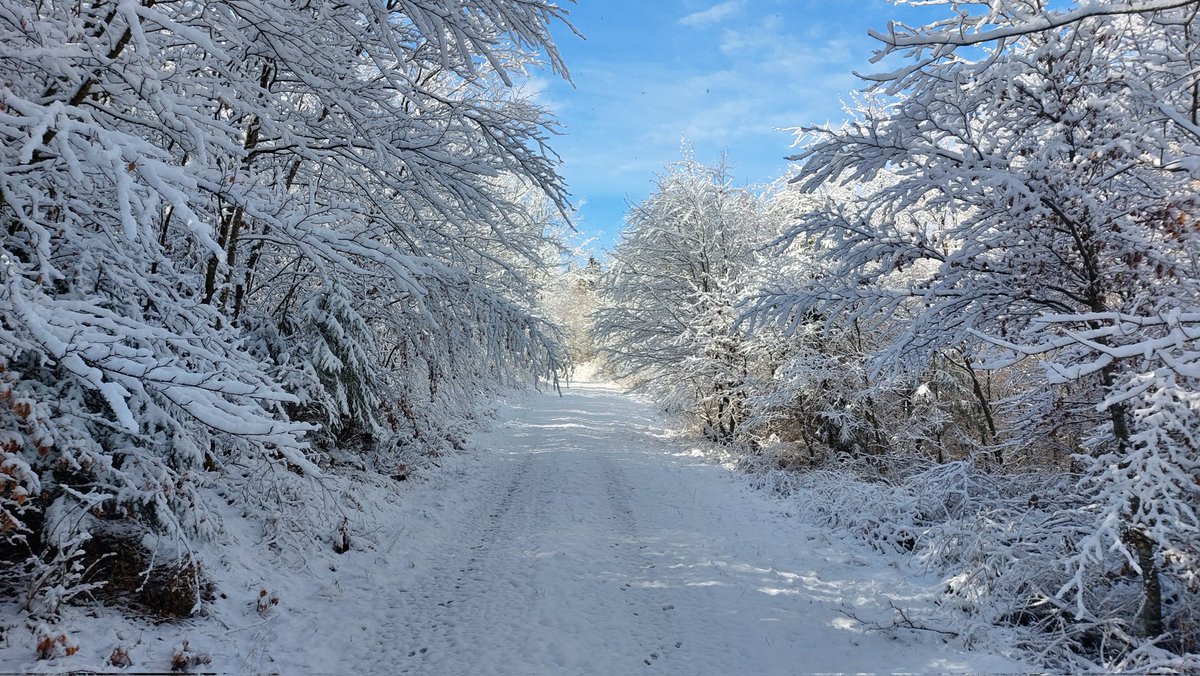 BExplo_de's tweet photo. Der #Winter ist zurück im #AlbExploratorium.
#SchwäbischeAlb https://t.co/2bave5XDkj