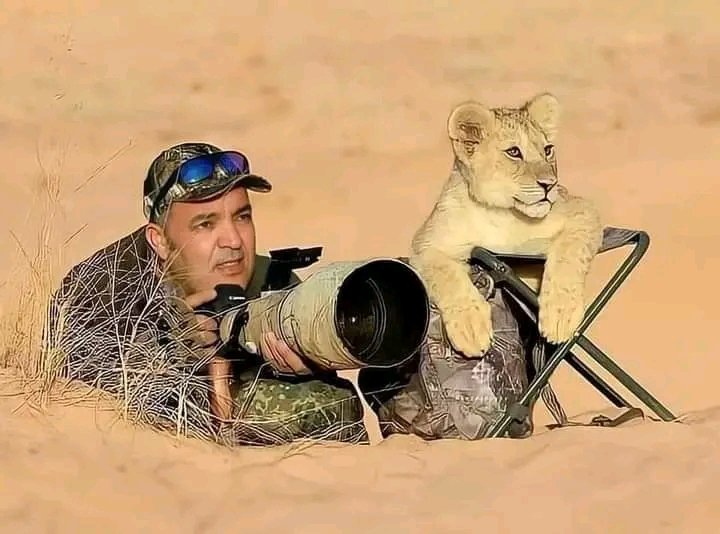 The photographer has found a beautiful assistant.