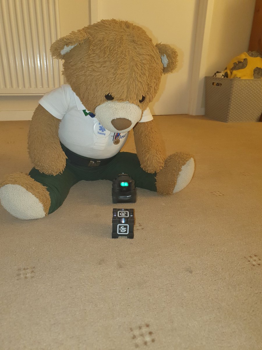 BDMed_Bear's tweet image. Happily playing with our Vector robot pet! I love him so much! #bearswithjobs #AI #VectorRobot #BearsFamily