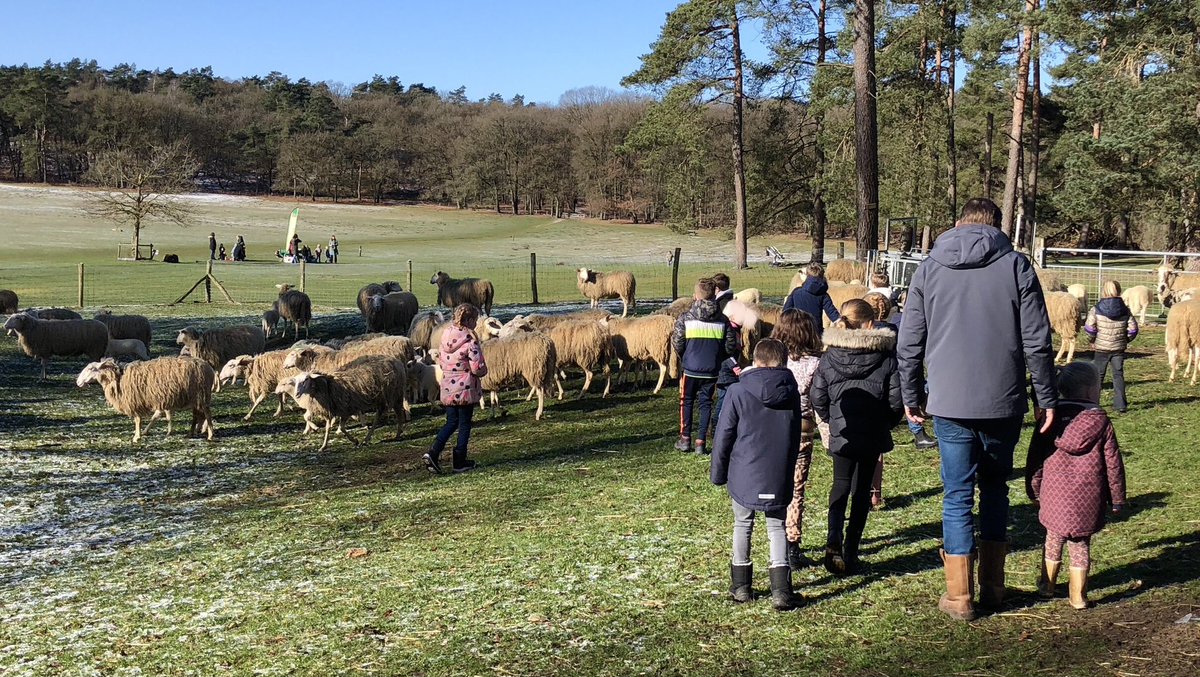 ClaraWilken's tweet photo. Kinderen en senioren op bezoek bij de #lammetjes op de #Loenermark @glk Schapen ๐ aaien, koffie โ๏ธ drinken, een ritje maken met de huifkar en een demonstratie van de herder met de schapen. Wat een dag! โ๏ธ๐ณ๐ @Tweedestee @kbsDePoort @DeZonnebloem @ArjenInfo https://t.co/x4X4mM2Gfx